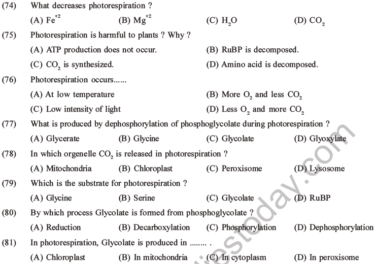 NEET Biology Photosynthesis MCQs Set A, Multiple Choice Questions